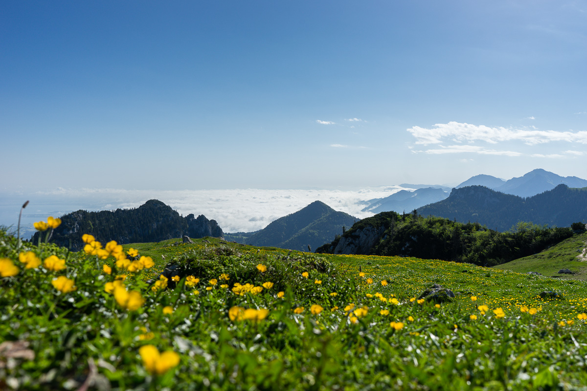 Der Nebel lichtet sich