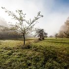 Der Nebel lichtet sich