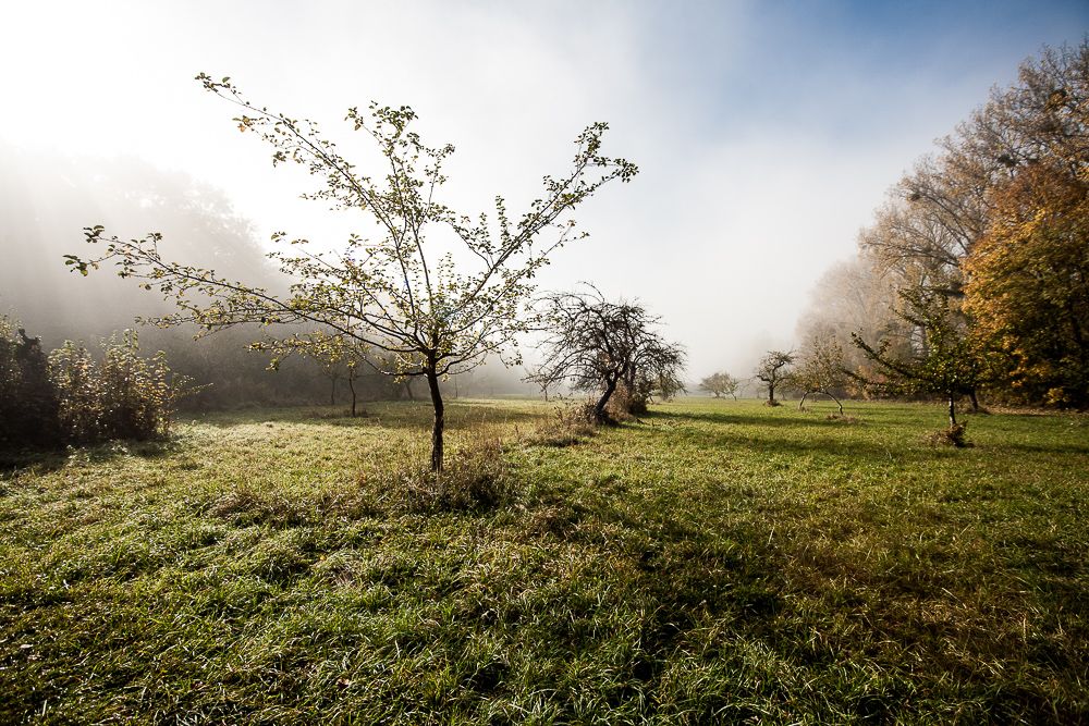 Der Nebel lichtet sich