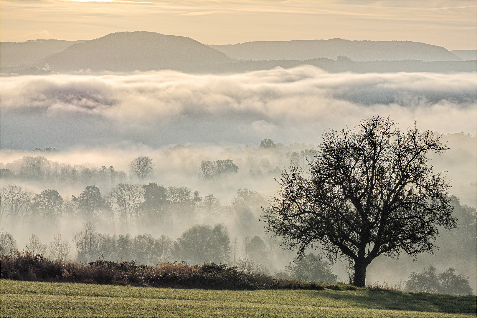 der Nebel lichtet sich