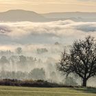 der Nebel lichtet sich