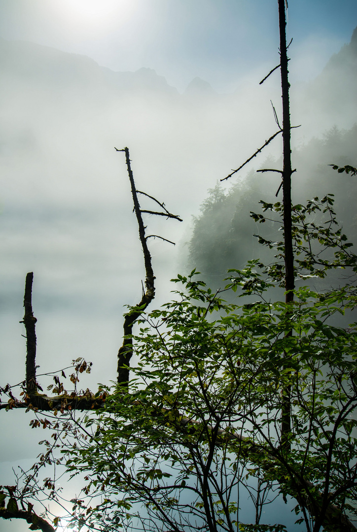 der Nebel lichtet sich