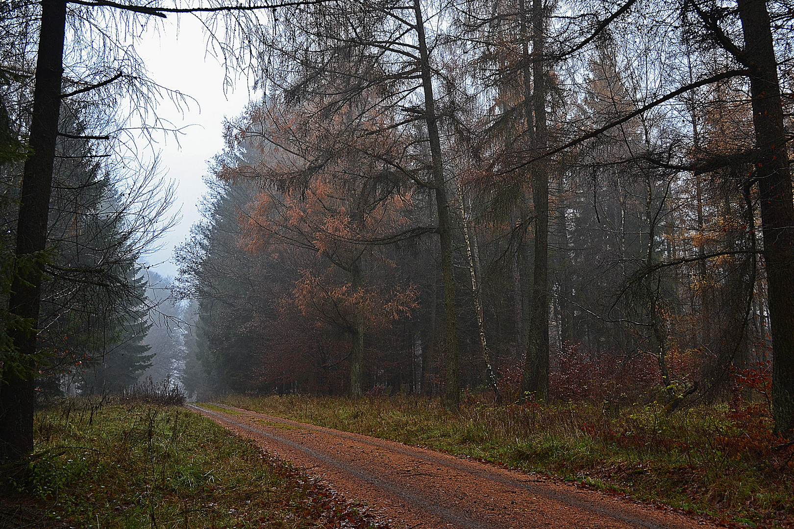 der Nebel lichtet sich...