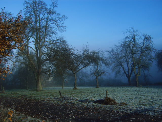 Der Nebel lichtet sich