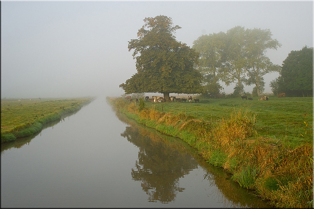 Der Nebel lichtet sich