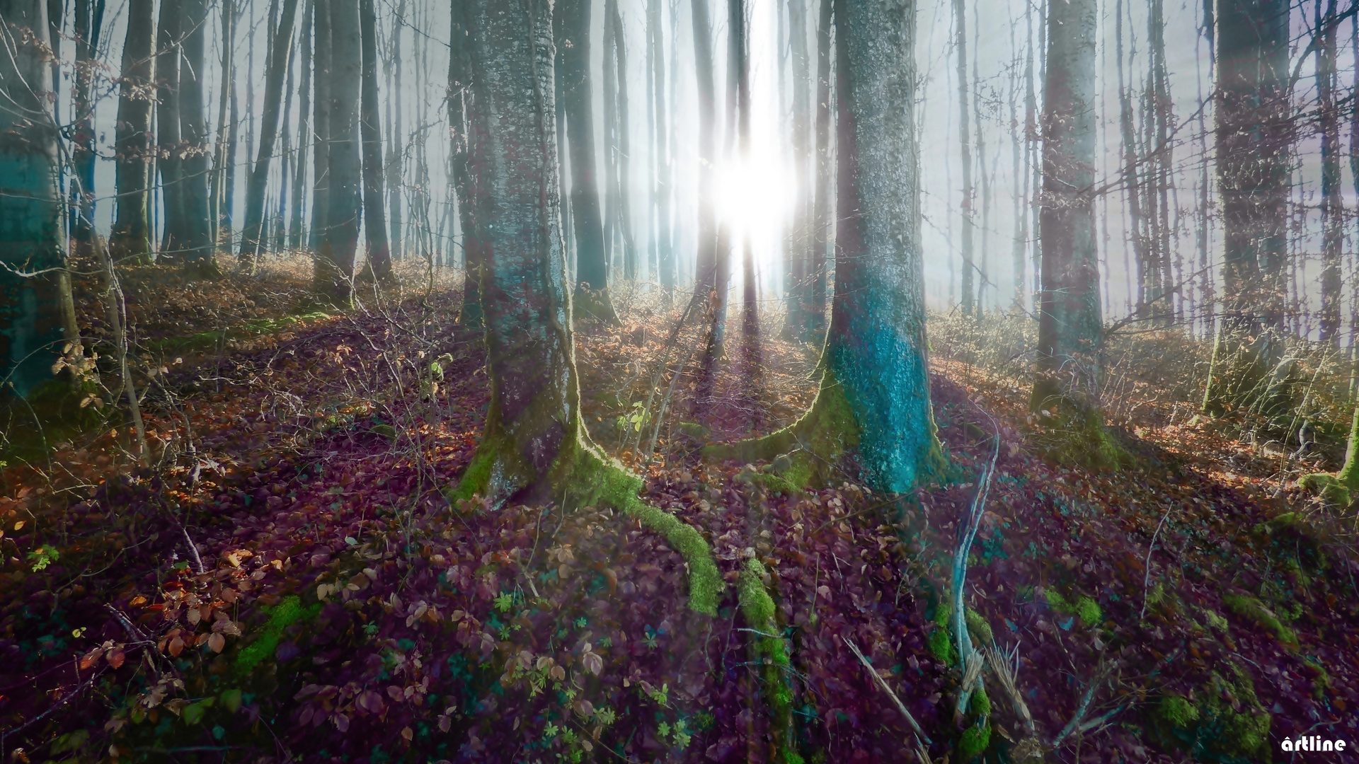 der Nebel lichtet sich in der Morgensonne