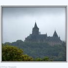 Der Nebel lichtet sich langsam über dem Schloß Wernigerode®