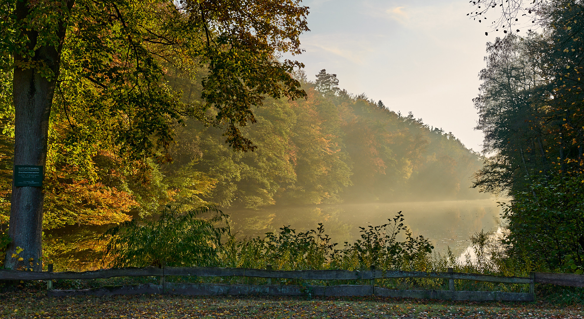 Der Nebel lichtete sich erst gegen 16 Uhr am 28.10.2021 (Sommerzeit), danach war die Stimmung...