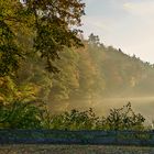 Der Nebel lichtete sich erst gegen 16 Uhr am 28.10.2021 (Sommerzeit), danach war die Stimmung...