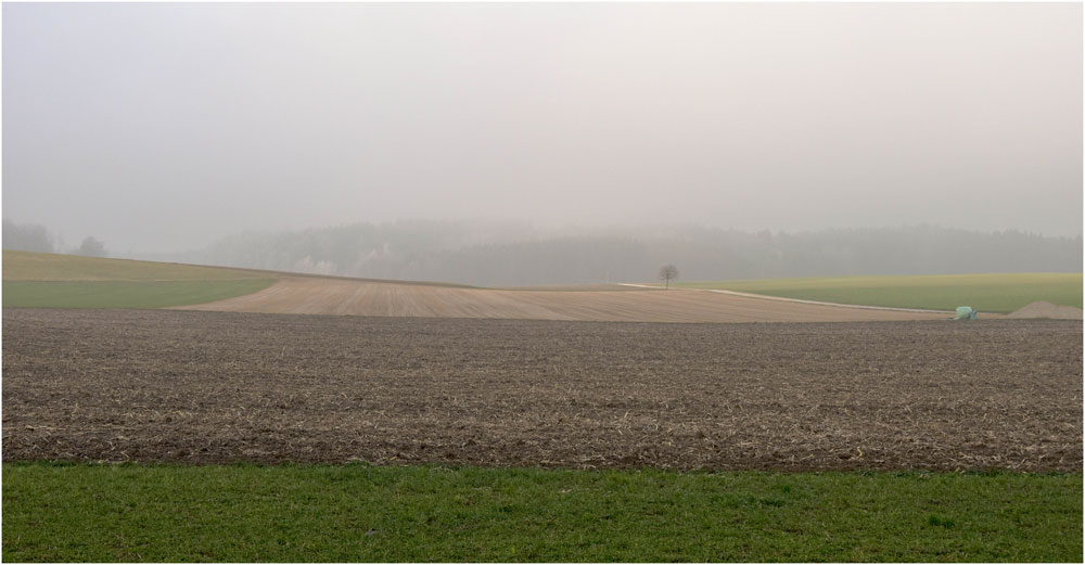 Der Nebel lichtete sich nicht ganz