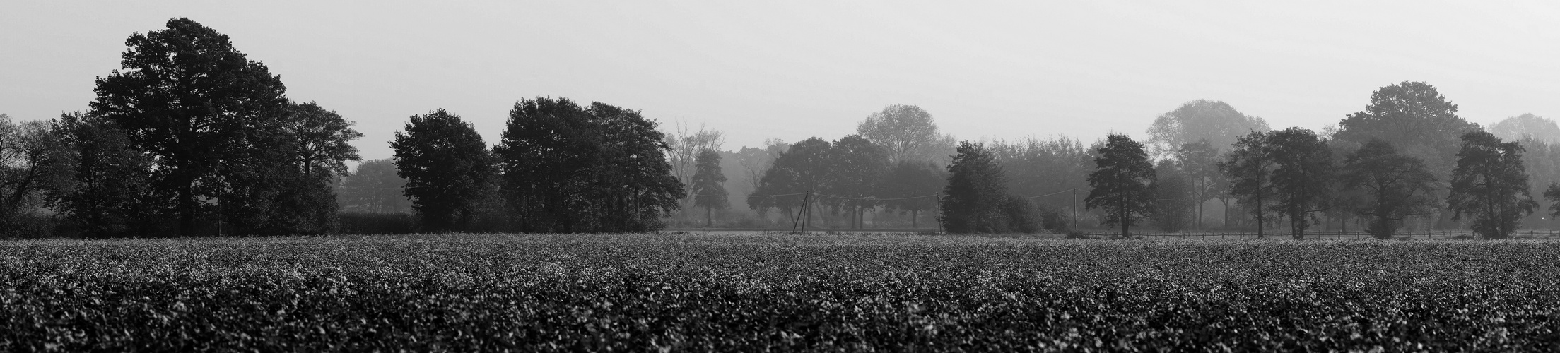 Der Nebel löst sich auf.