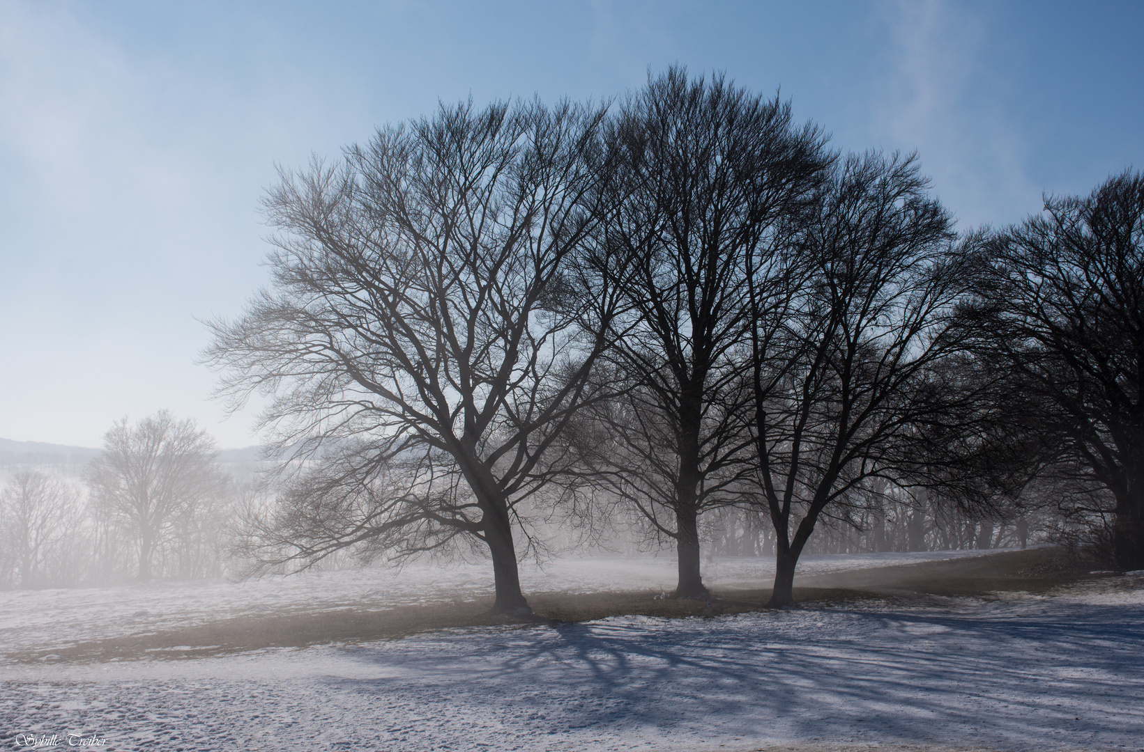 Der Nebel löst sich auf