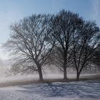 Der Nebel löst sich auf