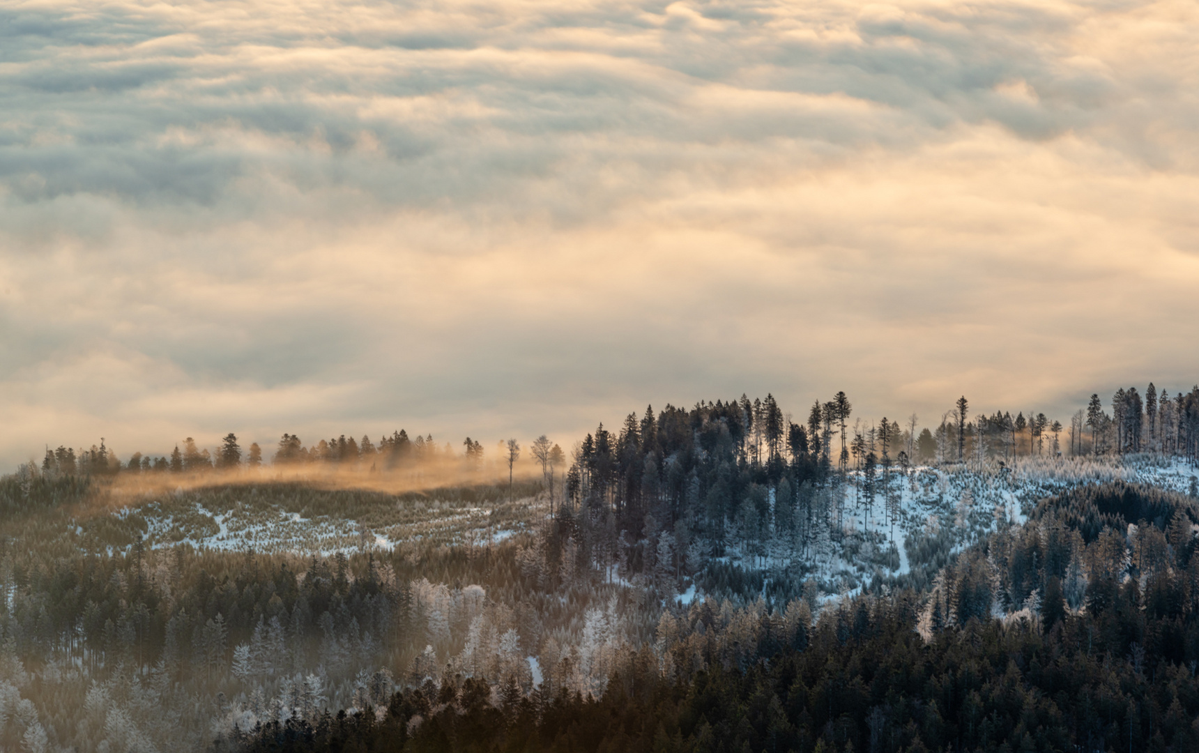 der Nebel muss ziehen