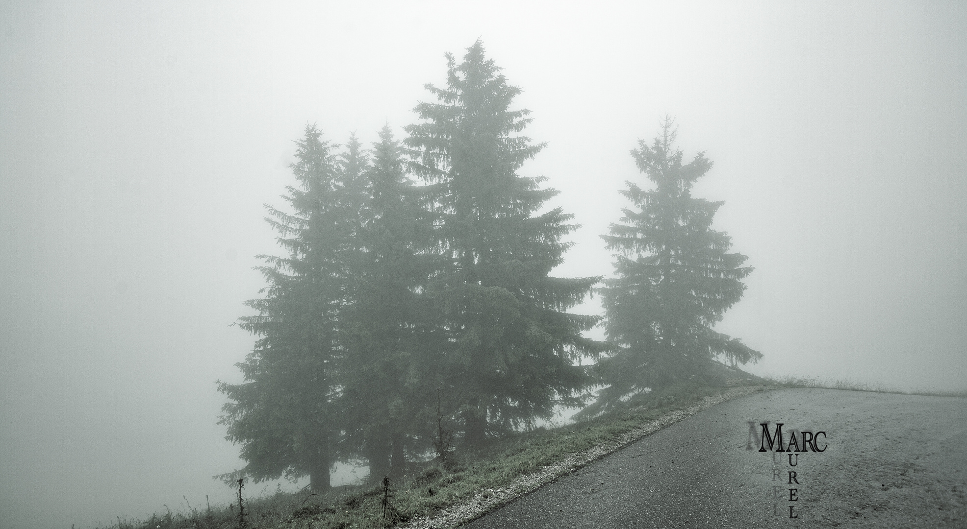  Der Nebel Nach dem Grossen Regen.