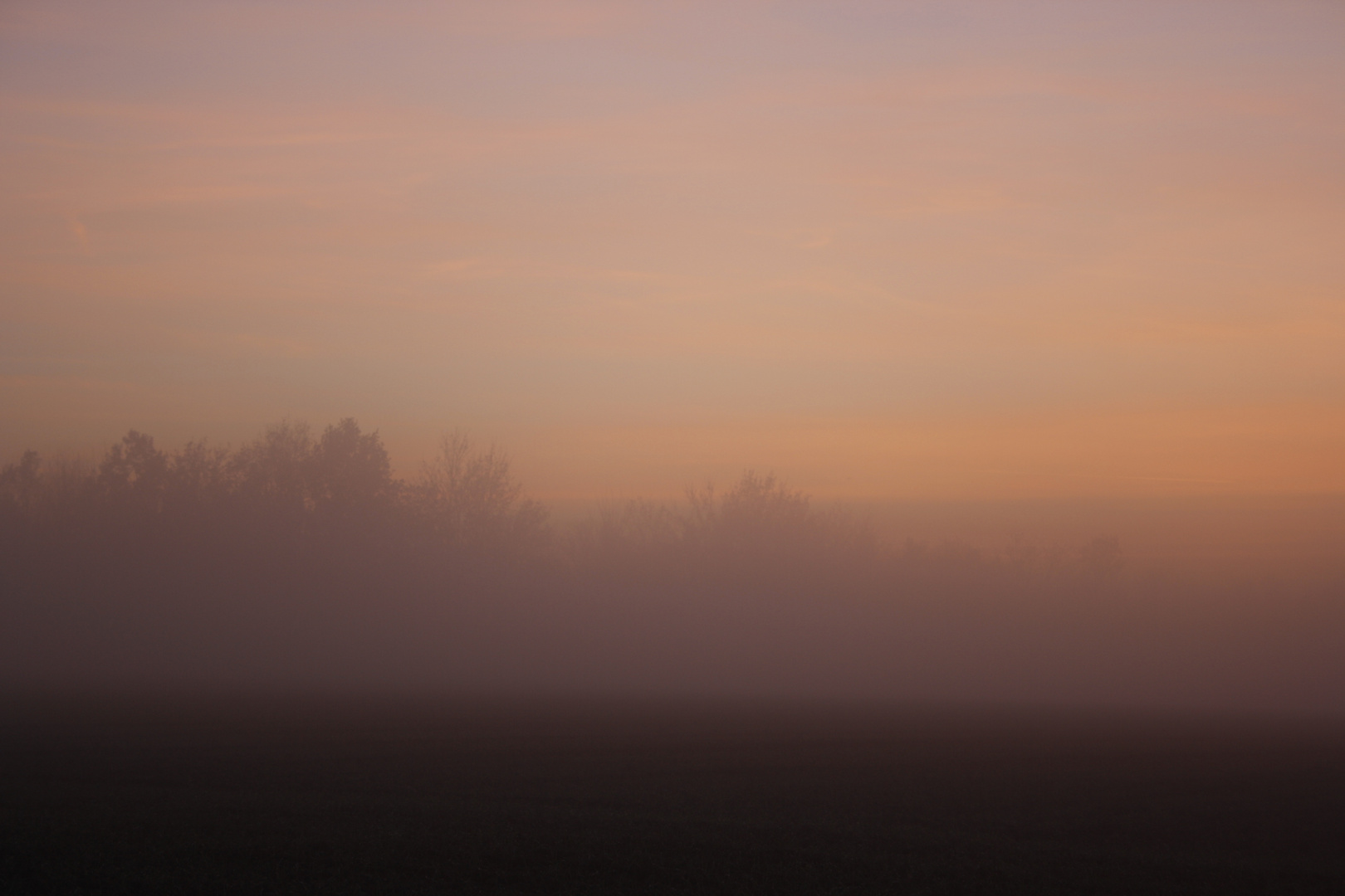 Der Nebel naht 2.......................