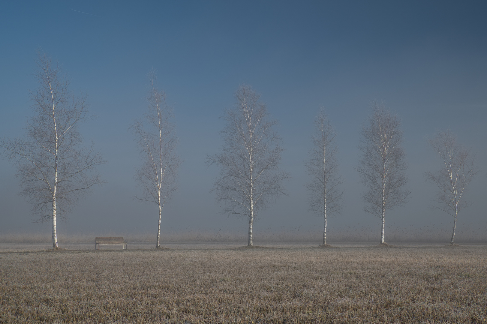 Der Nebel reisst auf