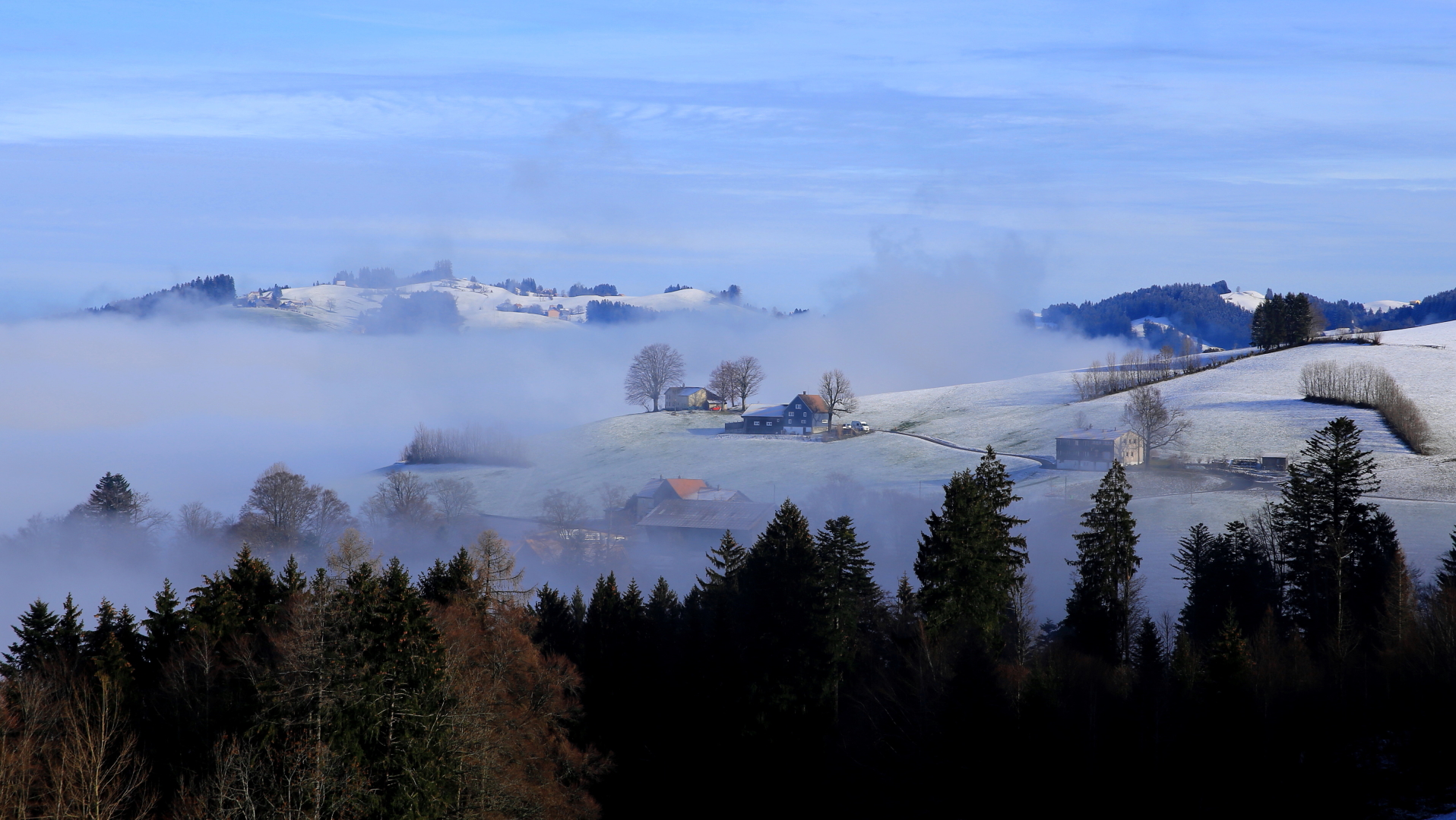 Der Nebel schleicht hoch