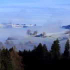 Der Nebel schleicht hoch