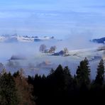 Der Nebel schleicht hoch