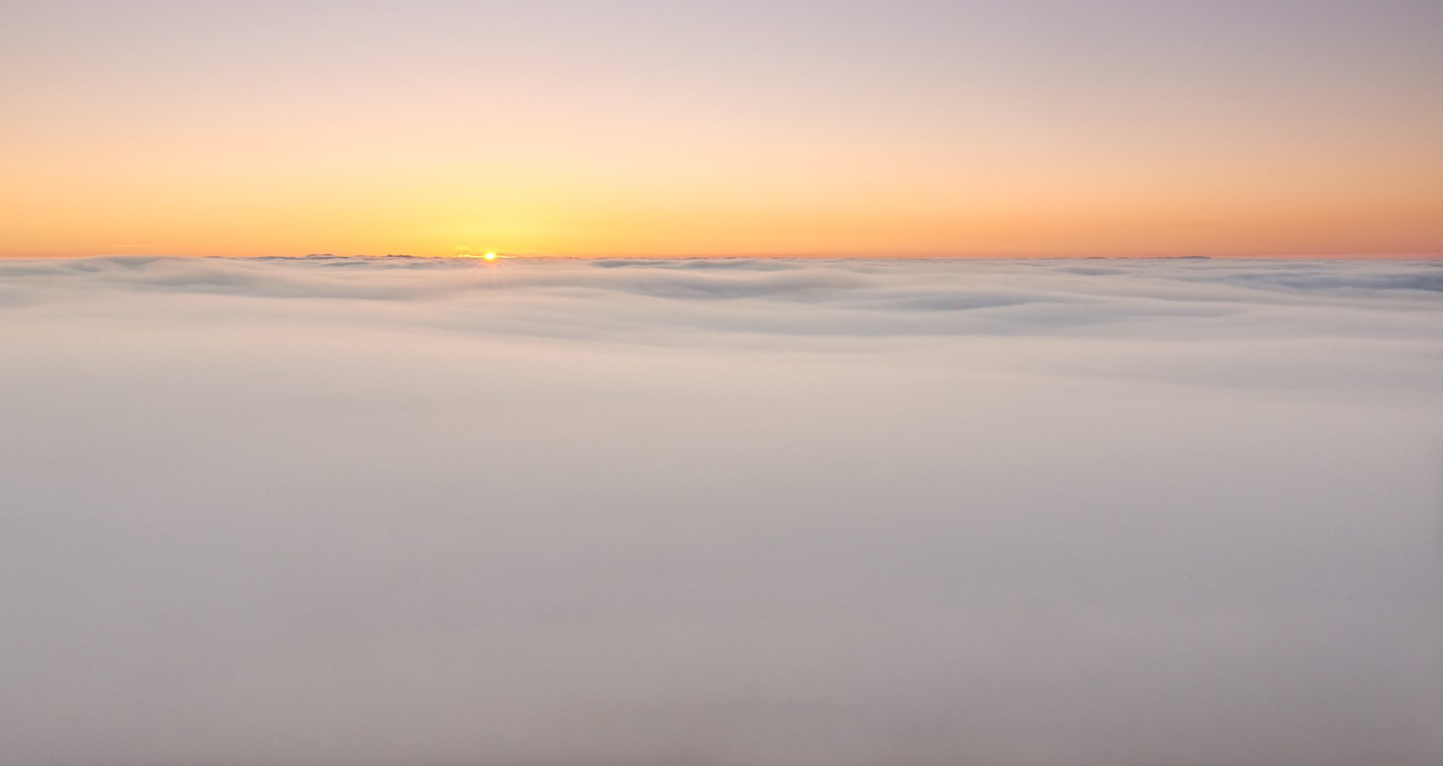 Der Nebel stand uns bis an die Knie, als wir auf dem Luitpoldturm den Sonnenaufgang...