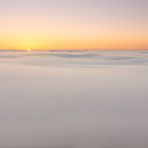 Der Nebel stand uns bis an die Knie, als wir auf dem Luitpoldturm den Sonnenaufgang...