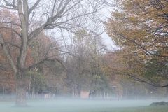 Der Nebel steigt 