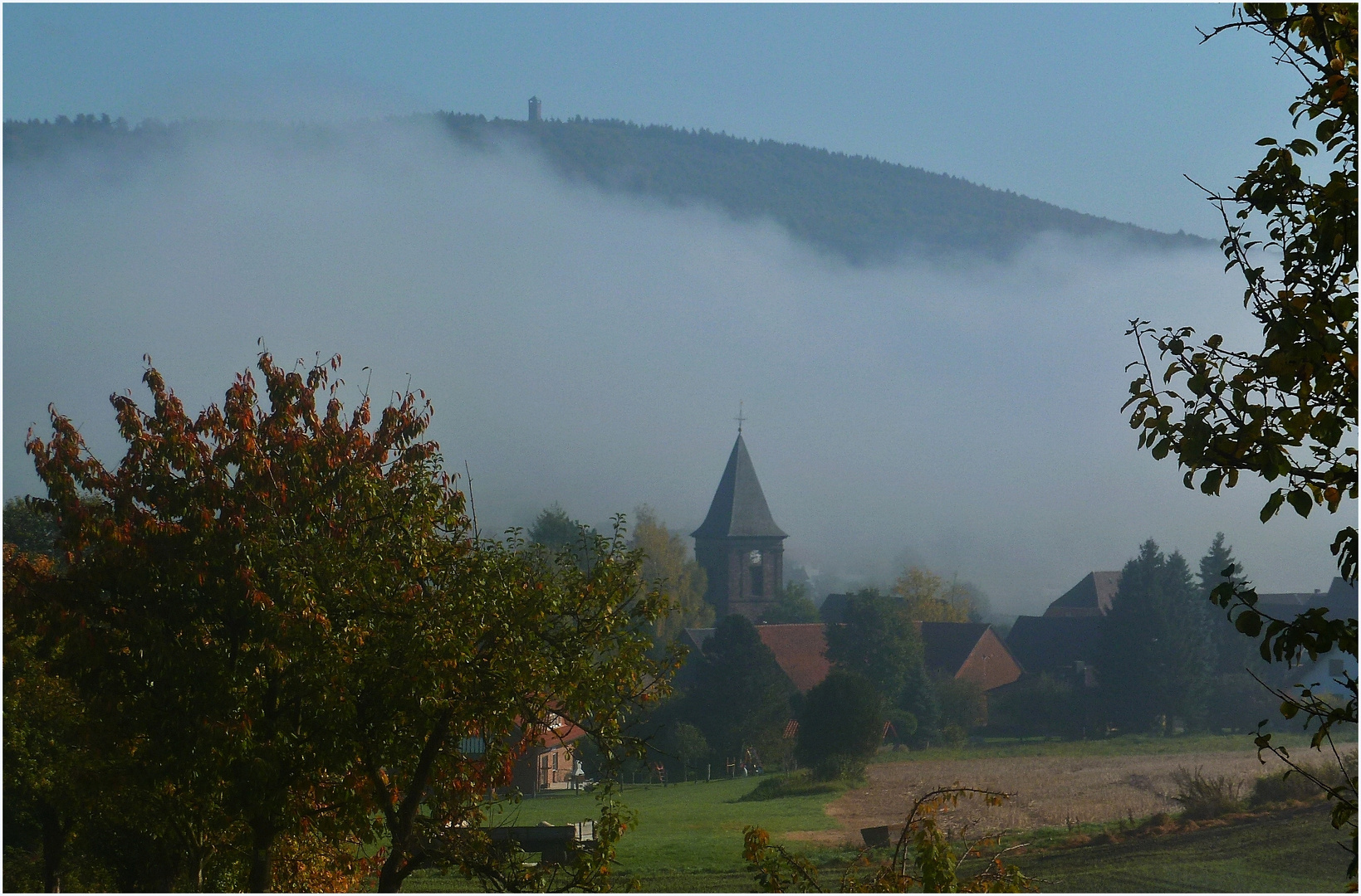 Der Nebel steigt