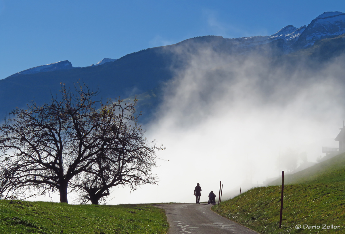 Der Nebel steigt