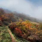 Der Nebel steigt auf