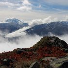 Der Nebel steigt auf