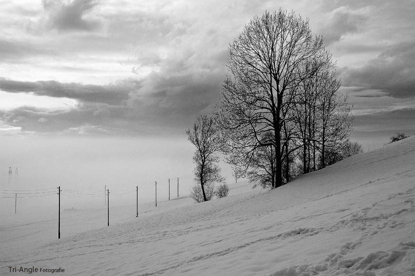 Der Nebel steigt