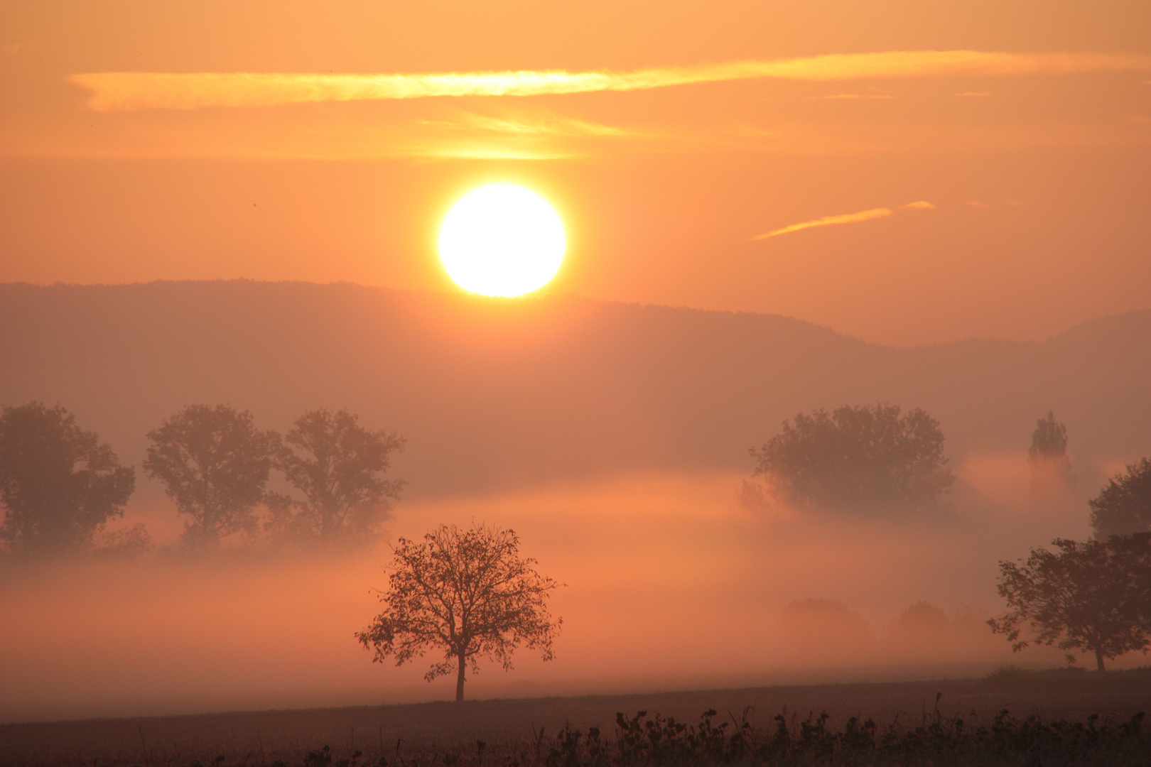 der Nebel steigt empor