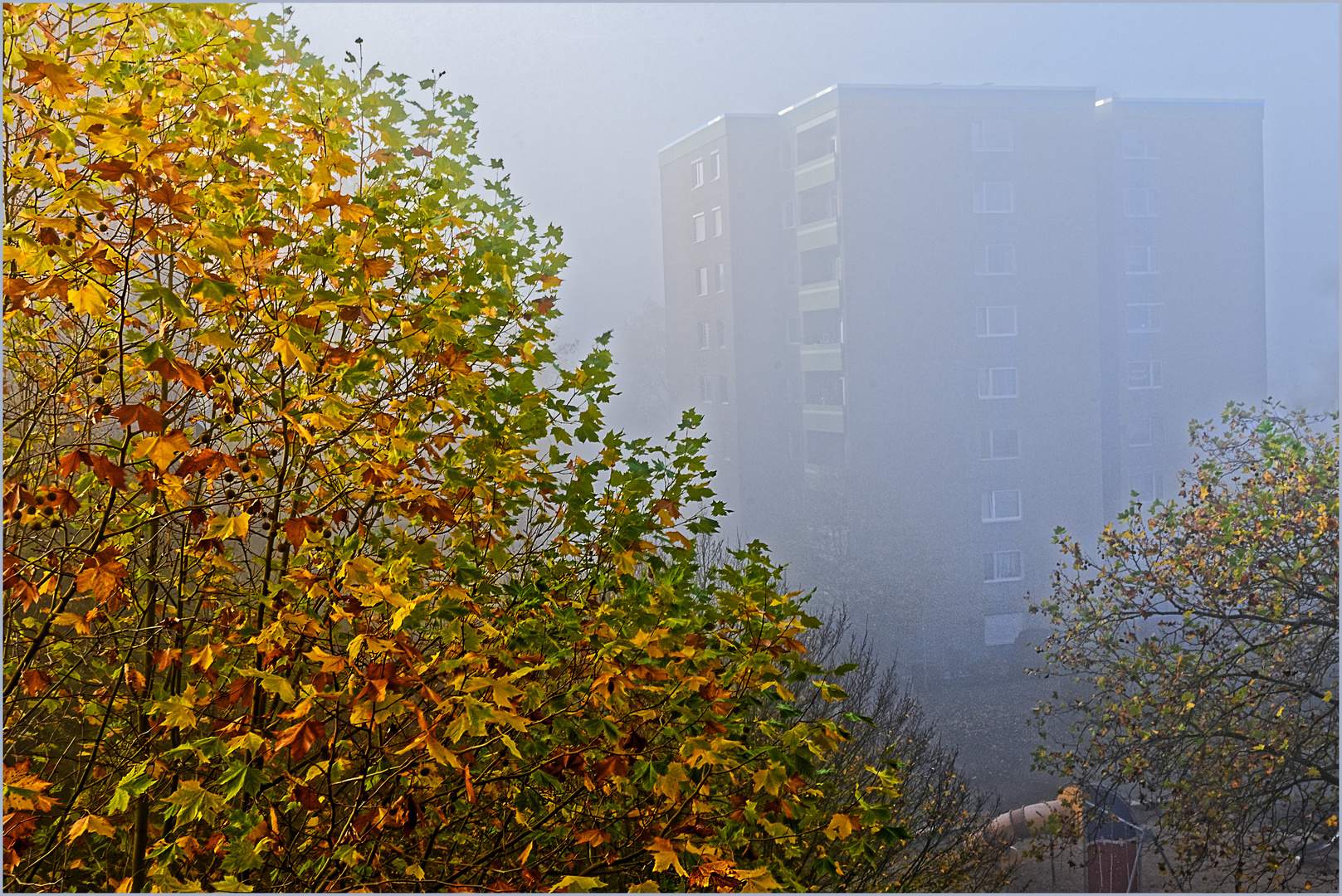 Der Nebel steigt, es fällt das Laub