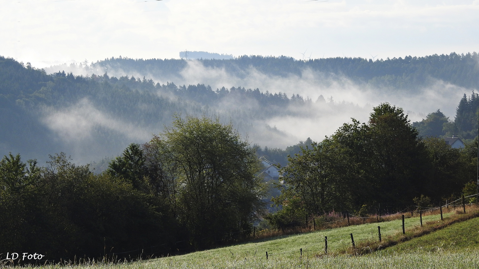 der Nebel steigt