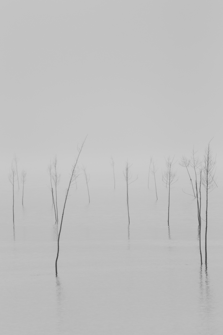 Der Nebel über dem Meer