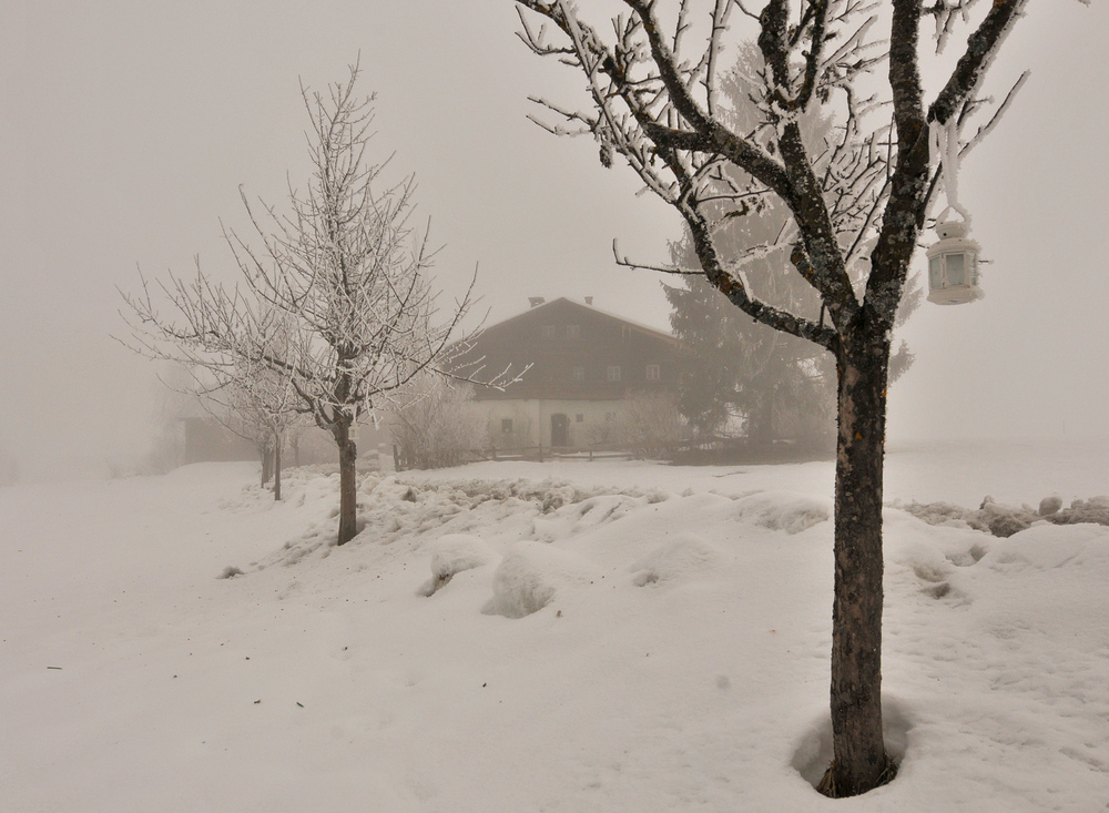 Der Nebel und der Reif versetzt mich ein bißchen in diese "Alte Zeit"