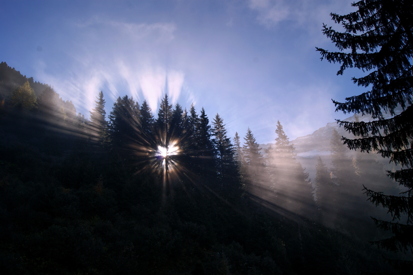 der nebel verbrennt