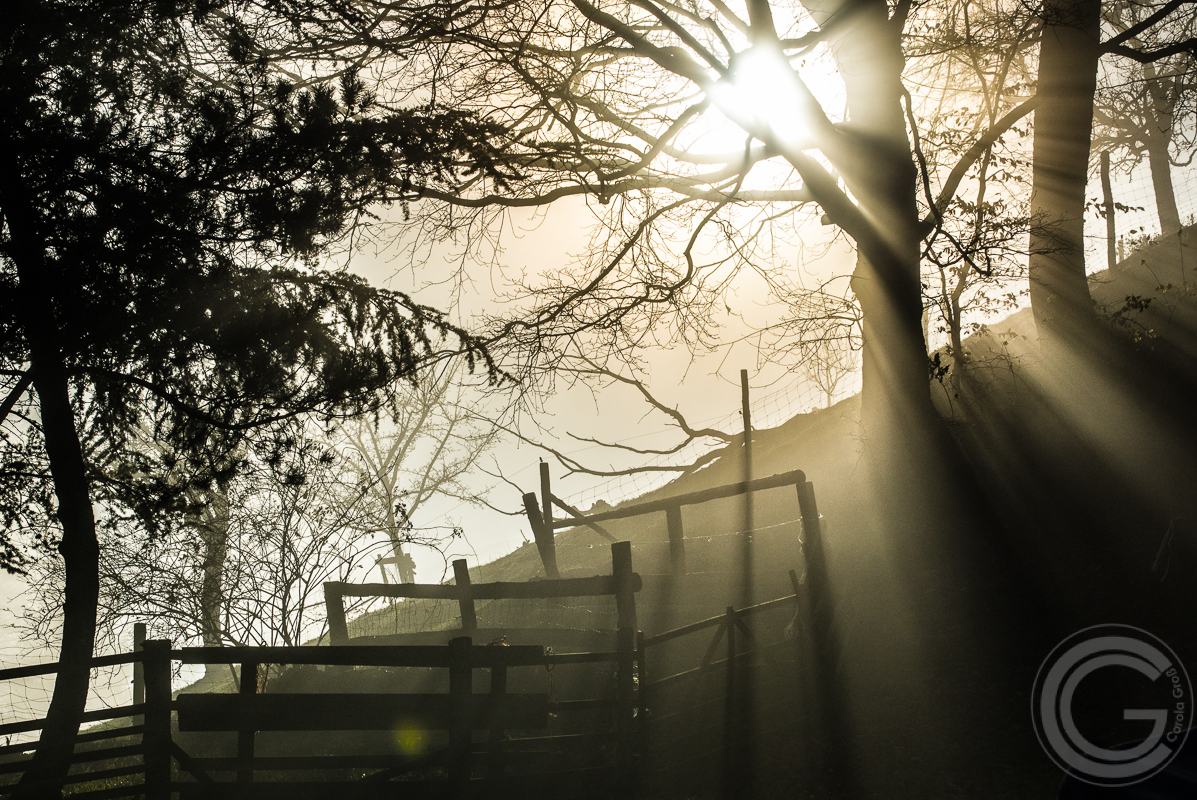 Der Nebel verliert gegen die Sonne