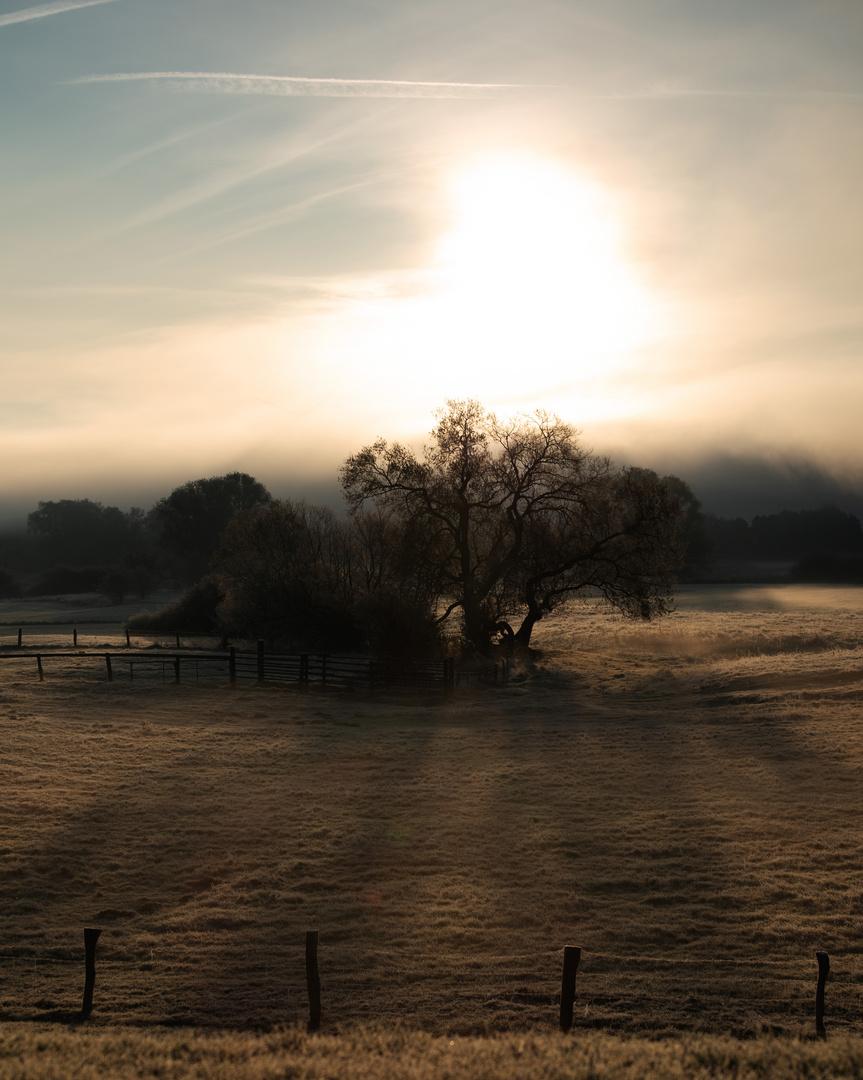 Der Nebel verschwindet