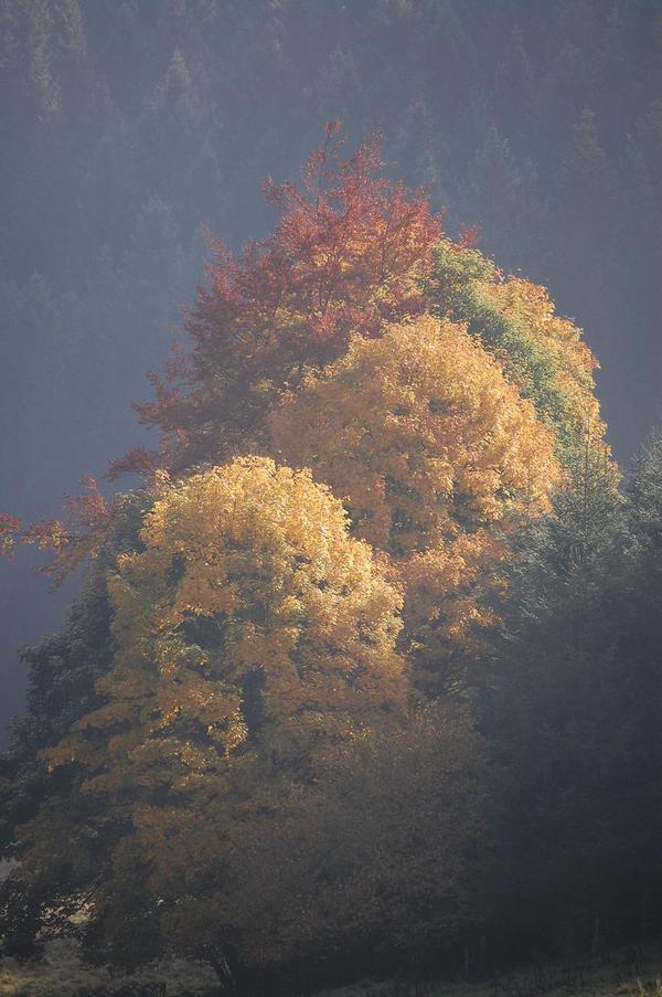 Der Nebel verzieht sich