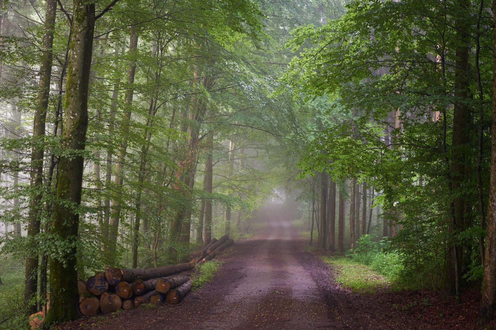 der Nebel verzieht sich