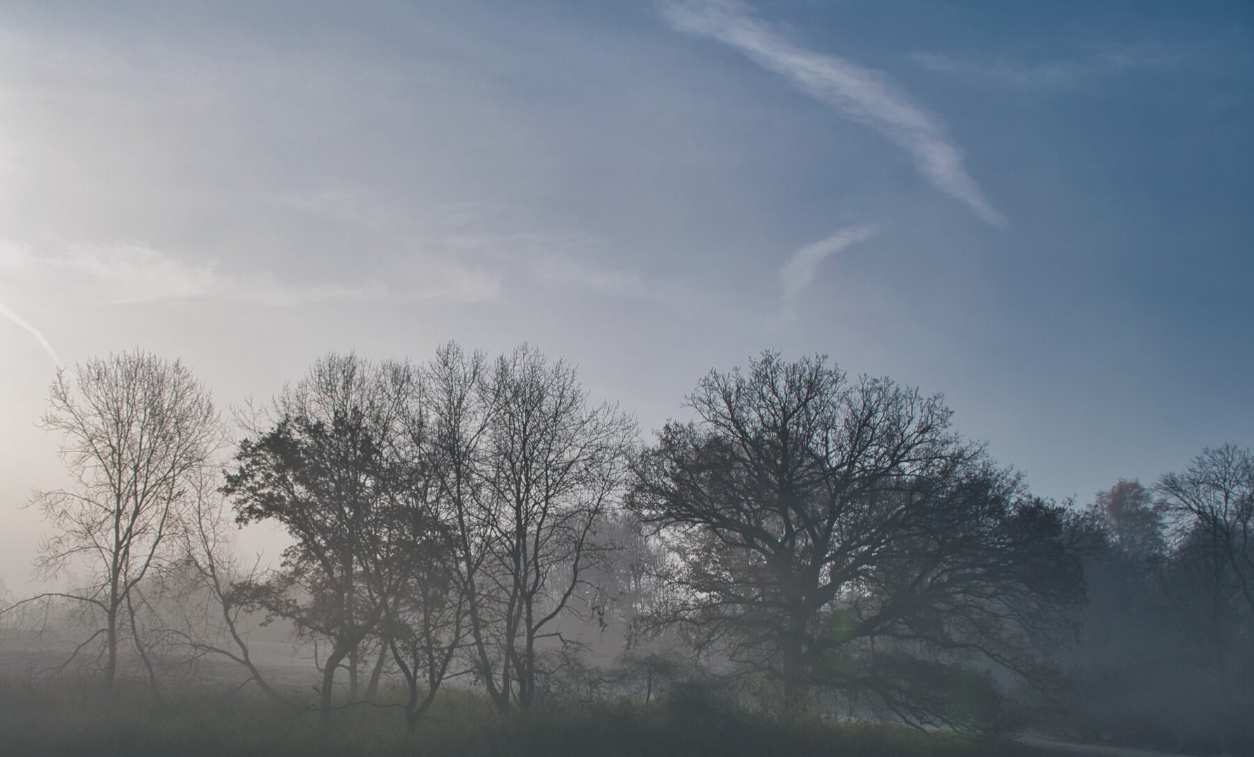 DER NEBEL VERZIEHT SICH