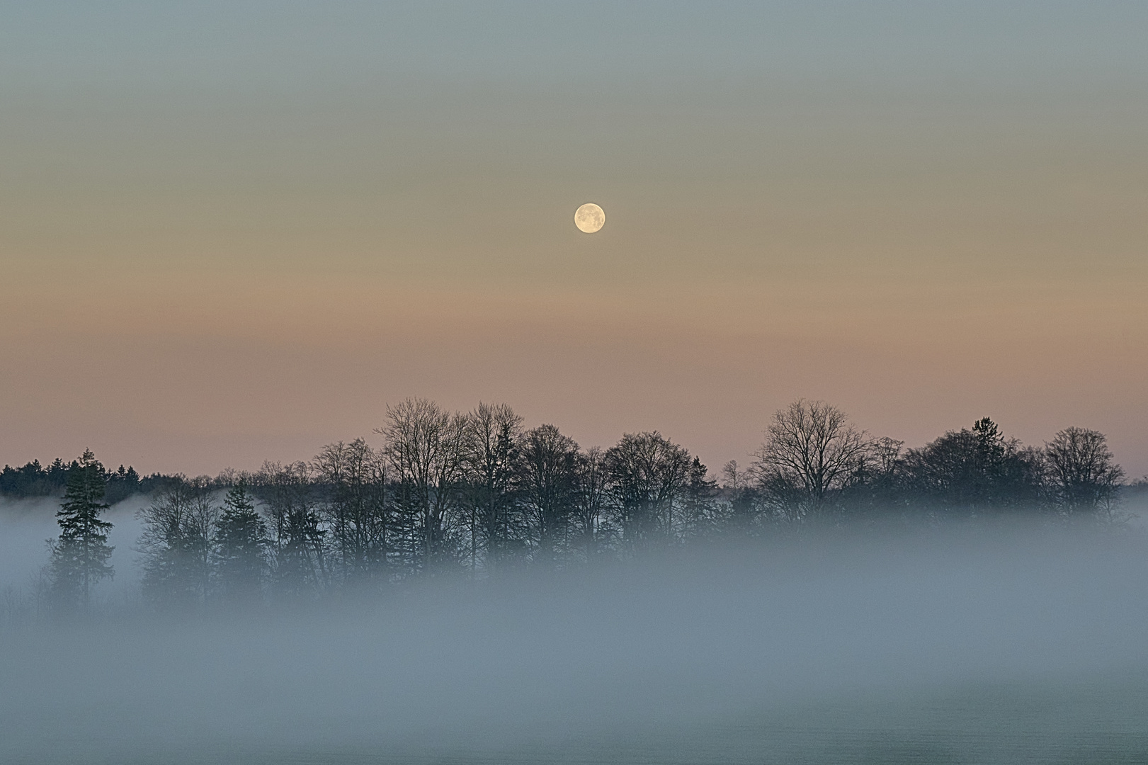 Der Nebel verzieht sich,