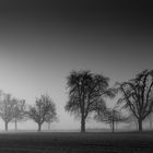 Der Nebel verzieht sich