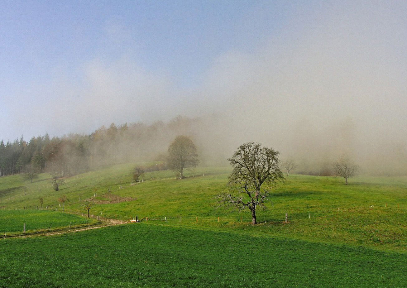 der Nebel verzieht sich im Jura