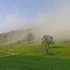 der Nebel verzieht sich im Jura