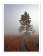 der Nebel verzieht sich langsam...