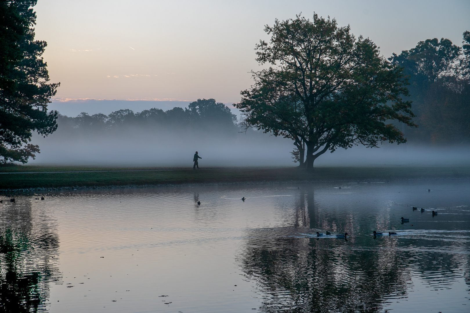 Der Nebel-Walker