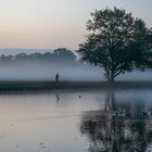 Der Nebel-Walker